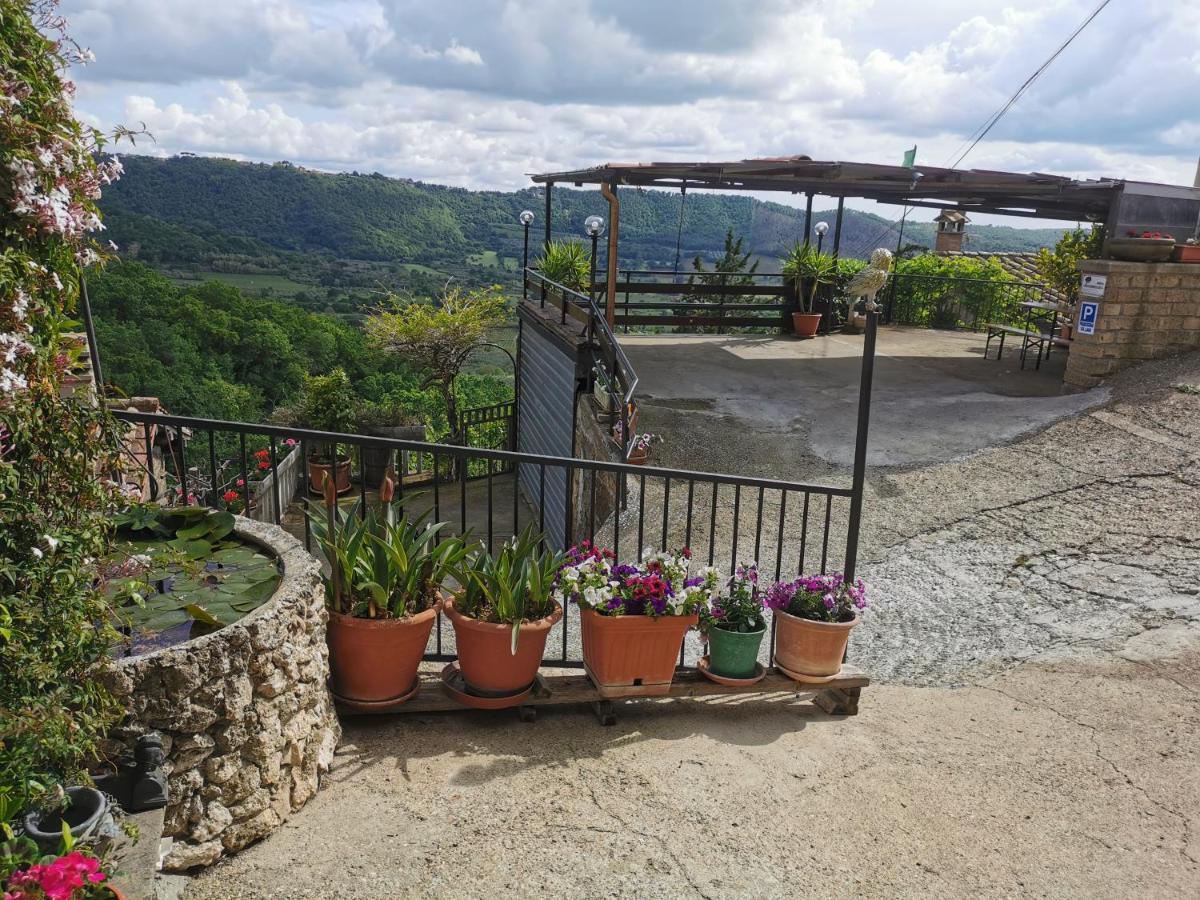 Francigena Sul Lago Montefiascone Exterior photo
